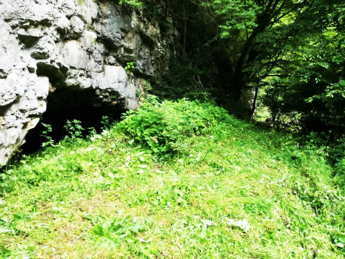 Apartman Nino Tounj エクステリア 写真