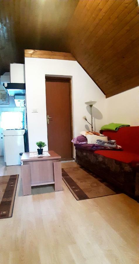 Apartman Nino Tounj エクステリア 写真